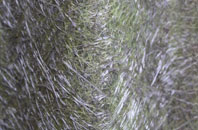 Castle Carlton fibreglass roof work